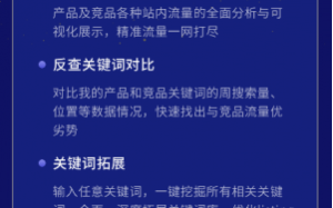 数派好不好用？数派有什么功能？亚马逊工具数派的正确用法